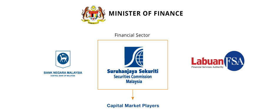 Capital Market Players